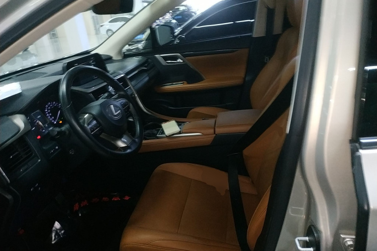 雷克萨斯RX 2020款 300 四驱典雅版 国VI局部细节19