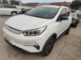 比亚迪 元Pro 2021款 要爱一生版