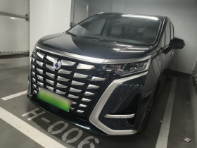 腾势D9 2022款 DM-i 1040 尊贵型