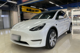 特斯拉 Model Y 2022款 改款 长续航全轮驱动版