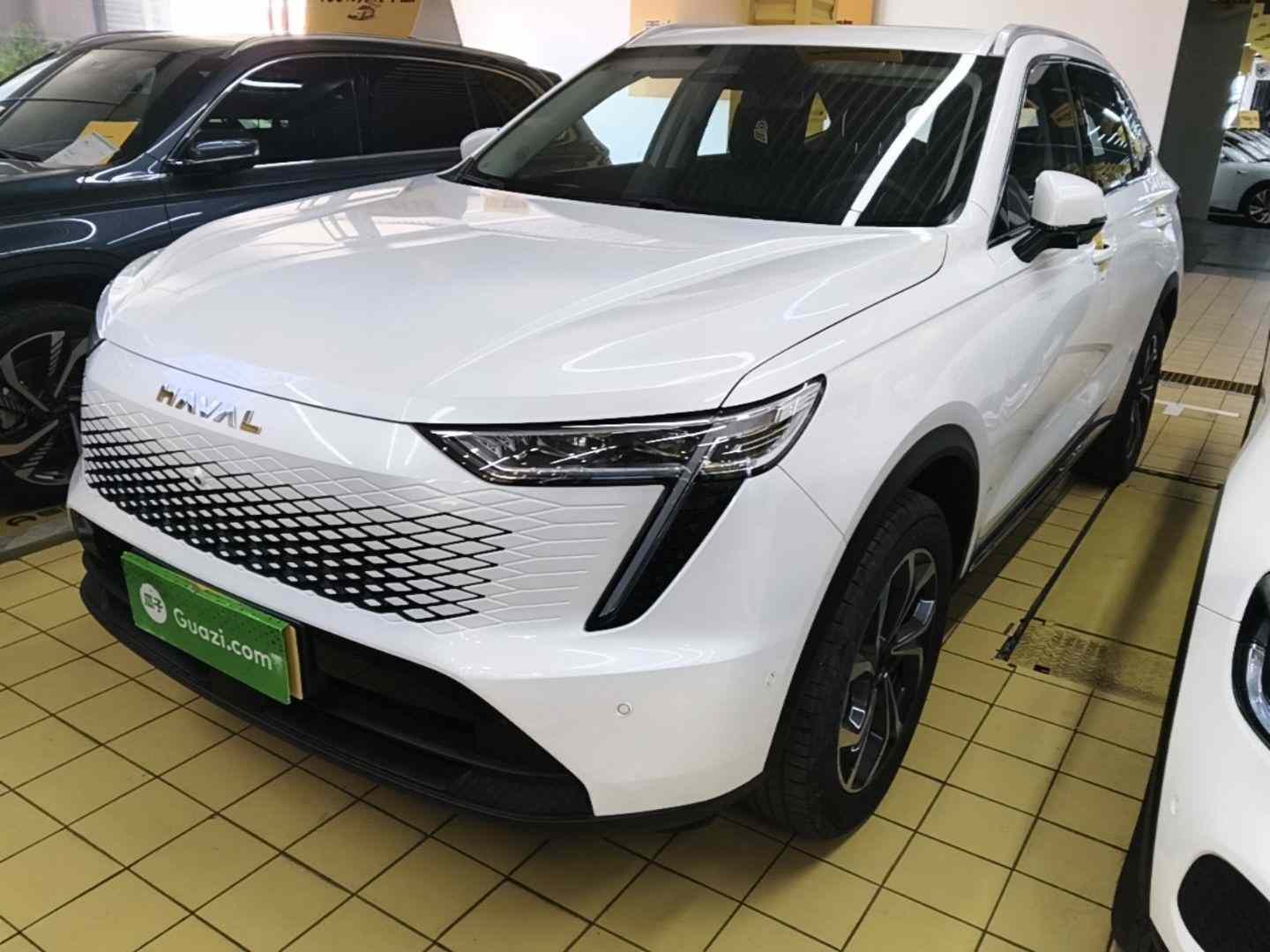 哈弗枭龙MAX 2023款 1.5L Hi4 105 四驱智能旗舰版(2)