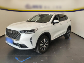 哈弗H6 2024款 1.5T 两驱经典版