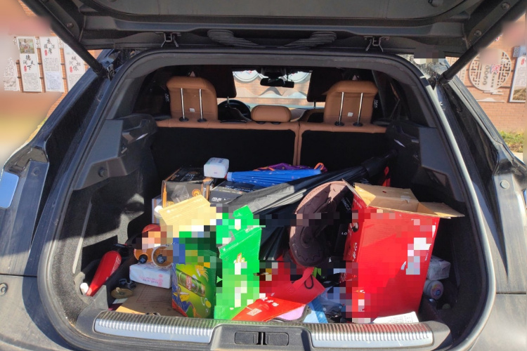 DS 7 2018款 45THP 里沃利先锋版局部细节23