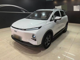 吉利几何E萤火虫 2024款 301km 星光