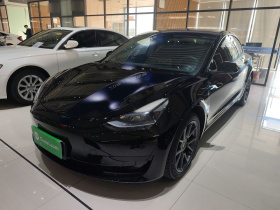 特斯拉 Model 3 2021款 改款 标准续航后驱升级版 3D1