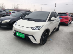 比亚迪 海鸥 2023款 飞翔版