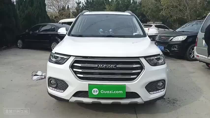 哈弗H6 2019款 运动版 1.5T 手动两驱精英型 国VI检测视频1