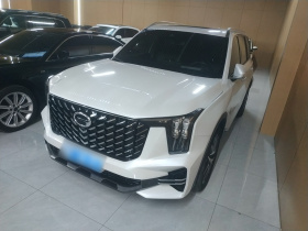 广汽传祺 传祺GS8 2022款 双擎系列 2.0TM 四驱尊贵版 （七座）