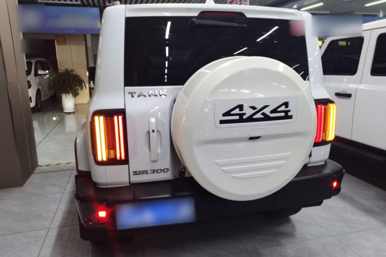 坦克300 2021款 城市版 2.0T 很有型车身外观6