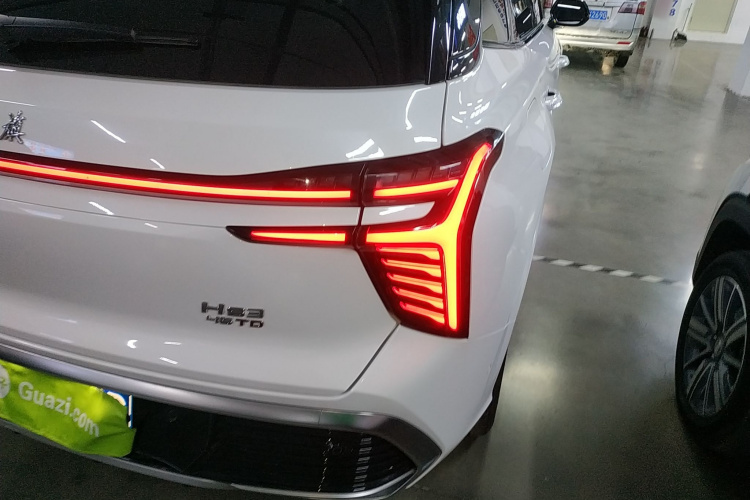 红旗HS3 2023款 2.0T 四驱有为版车身外观9