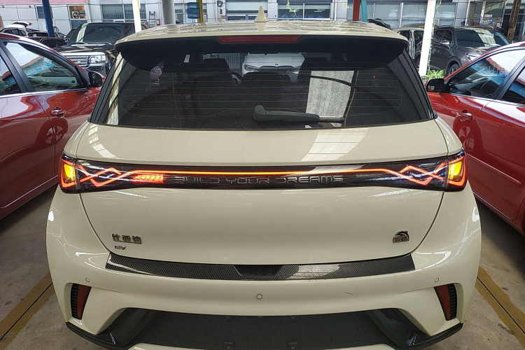 比亚迪 海豚 2023款 420km 时尚版车身外观6