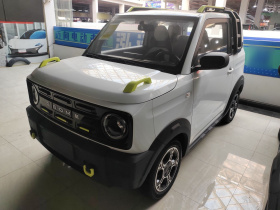 吉利银河 2025款 210km 熊猫骑士