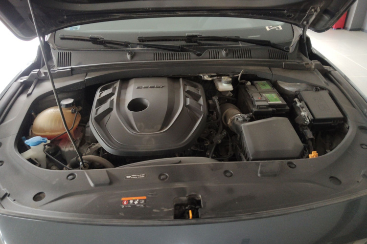 吉利汽车 星瑞 2021款 2.0TD 豪华型局部细节24