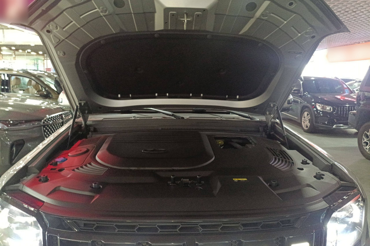 捷途山海 捷途旅行者C-DM 2024款 C-DM 129KM 林野版局部细节24