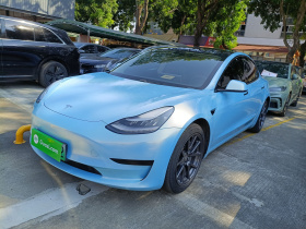 特斯拉 Model 3 2020款 标准续航后驱升级版