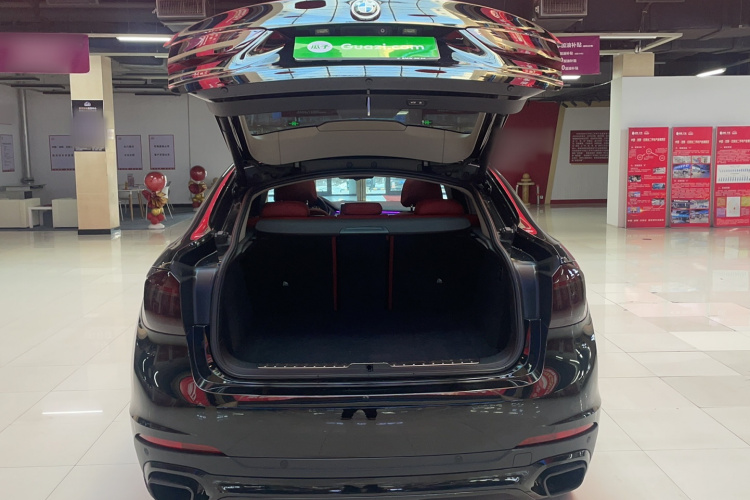 宝马X6（平行进口） 局部细节23