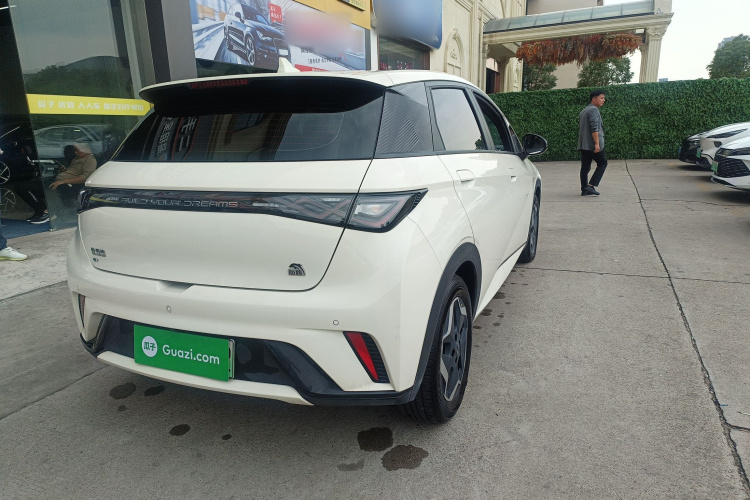 比亚迪 海豚 2021款 405km 时尚版车身外观6005