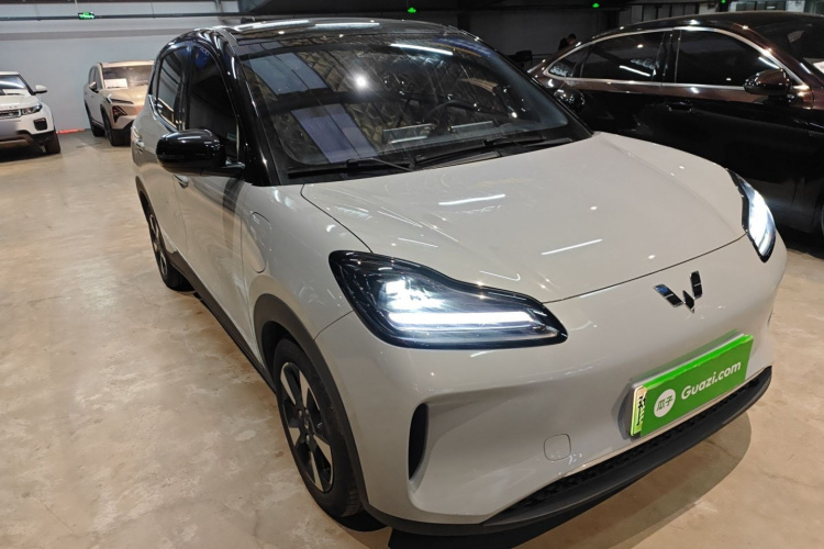 五菱汽车 五菱缤果PLUS 2024款 510km 旗舰版 四座版车身外观6002