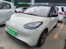 五菱汽车 五菱缤果 2025款 333km 悦享款