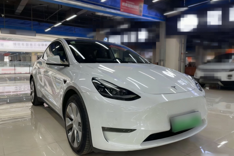 特斯拉 Model Y 2021款 标准续航后驱版车身外观6003