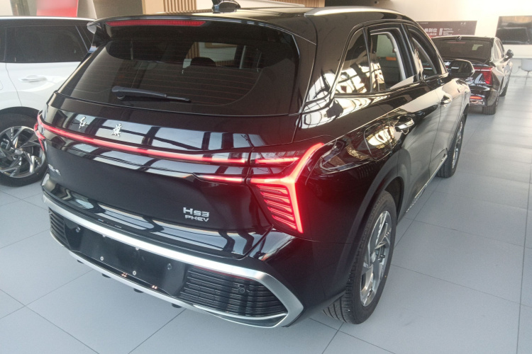 红旗HS3 PHEV 2024款 PHEV 115km 劲为版车身外观6003