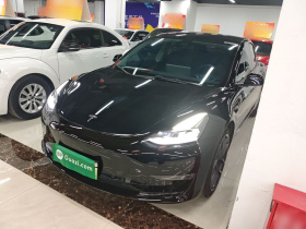 特斯拉 Model 3 2021款 Performance高性能全轮驱动版 3D6