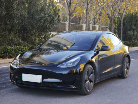 特斯拉 Model 3 2022款 后轮驱动版