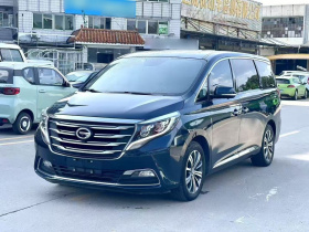 广汽传祺 传祺M8 2020款 390T 尊贵版