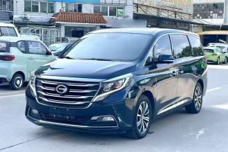 广汽传祺 传祺M8 2020款 390T 尊贵版