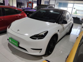 特斯拉 Model Y 2022款 后轮驱动版