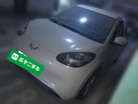 五菱汽车 五菱缤果 2023款 203km 轻享款