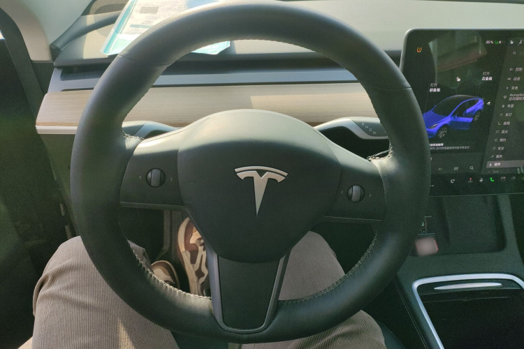 特斯拉 Model Y 2021款 标准续航后驱版中控内饰13