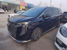 广汽传祺 传祺M8 2024款 大师系列 400T 尊贵版