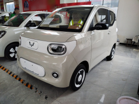 五菱汽车 宏光MINIEV 2024款 第三代 215km 青春版