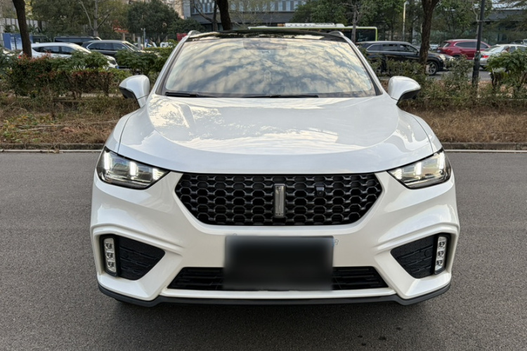 魏牌 VV5 2020款 1.5T 两驱智先锋车身外观6006