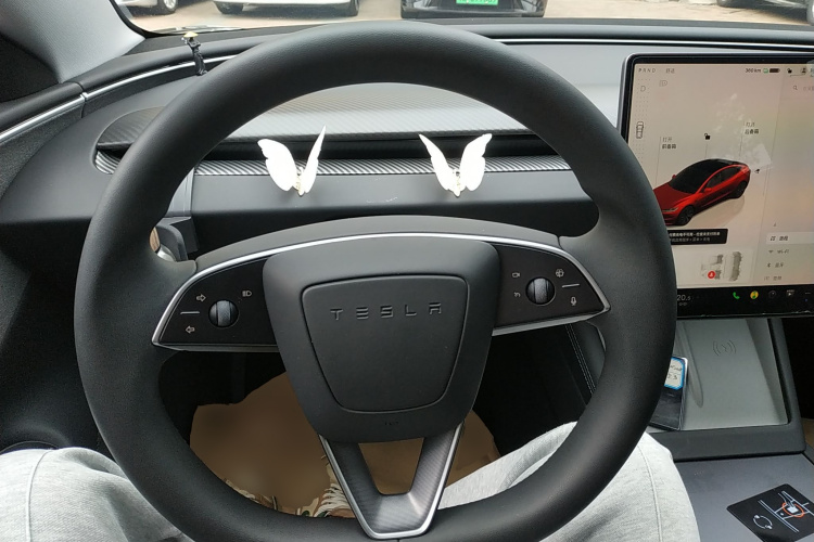 特斯拉 Model 3 2023款 后轮驱动版中控内饰13