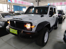 坦克300 2023款 2.0T 铁骑02