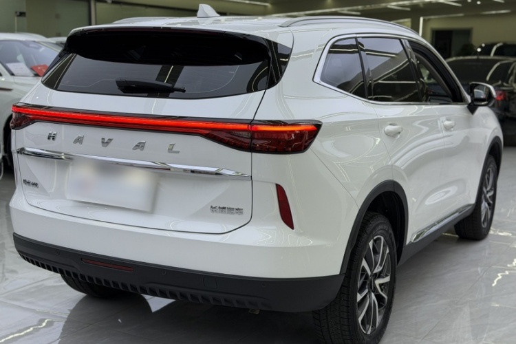 哈弗H6 2024款 1.5T 两驱经典版车身外观6004