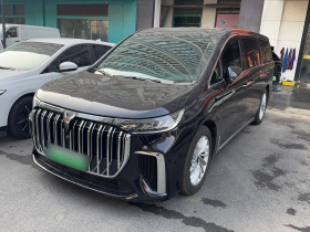 岚图汽车 岚图梦想家 2024款 PHEV 超长续航尊贵版