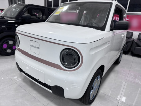 吉利银河 2024款 熊猫mini 200km 耐力熊