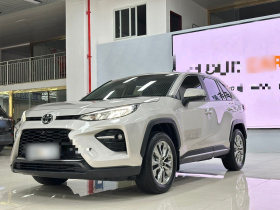 丰田 威兰达 2022款 2.0L CVT四驱豪华PLUS版