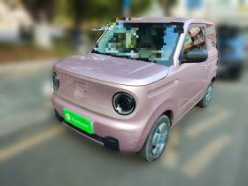 吉利银河 2023款 熊猫mini 200km 耐力熊