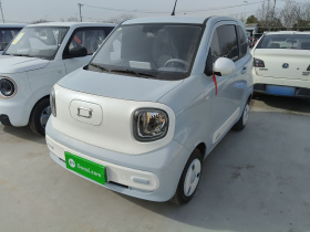 奔腾小马 2025款 222km 伶俐马