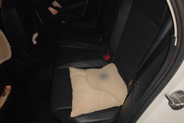 大众 朗逸 2021款 1.5L 自动舒适版中控内饰21