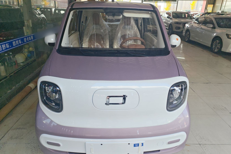 奔腾小马 2026款 222km 闪耀马车身外观2