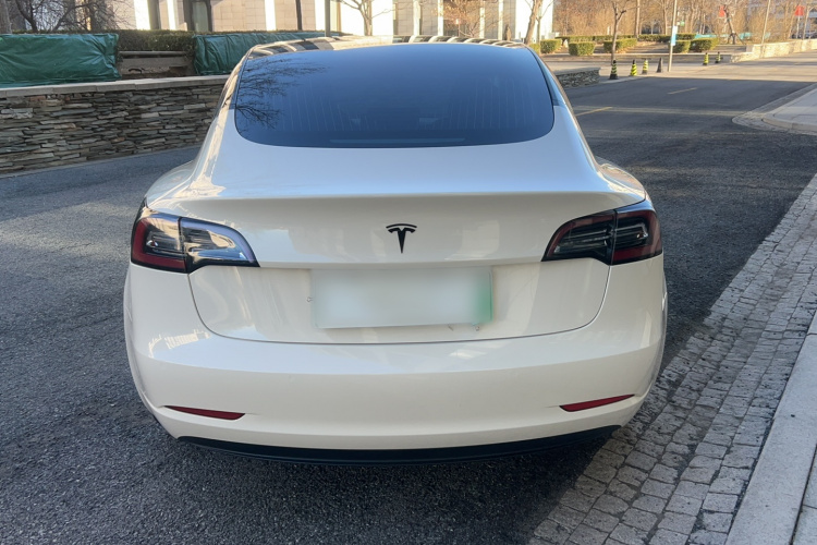 特斯拉 Model 3(进口) 2019款 标准续航后驱升级版(52度)车身外观6004