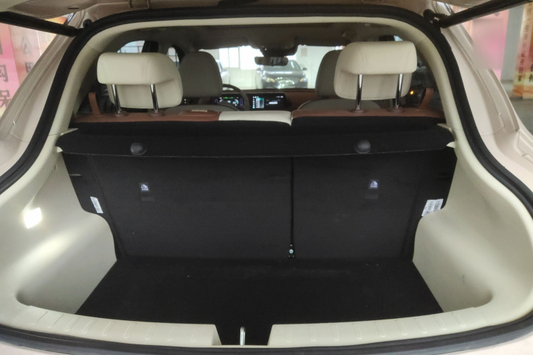 欧拉好猫 2022款 莫兰迪版 400km标准续航 尊贵型 磷酸铁锂局部细节23