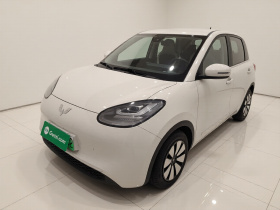 五菱汽车 五菱缤果 2023款 203km 舒享款