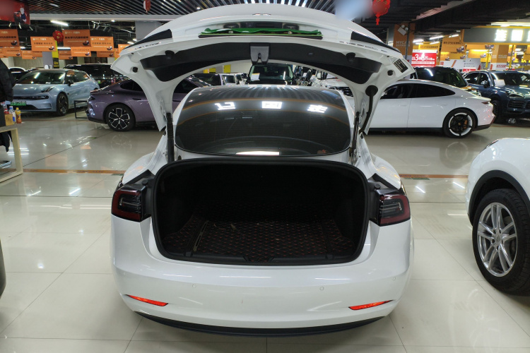 特斯拉 Model 3 2021款 标准续航后驱升级版 3D6机舱底盘23