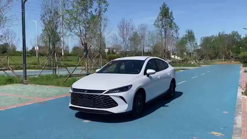 比亚迪 秦PLUS 2025款 DM-i 智驾版 55KM领先型实拍1